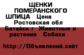 ЩЕНКИ ПОМЕРАНСКОГО ШПИЦА › Цена ­ 25 000 - Ростовская обл., Батайск г. Животные и растения » Собаки   